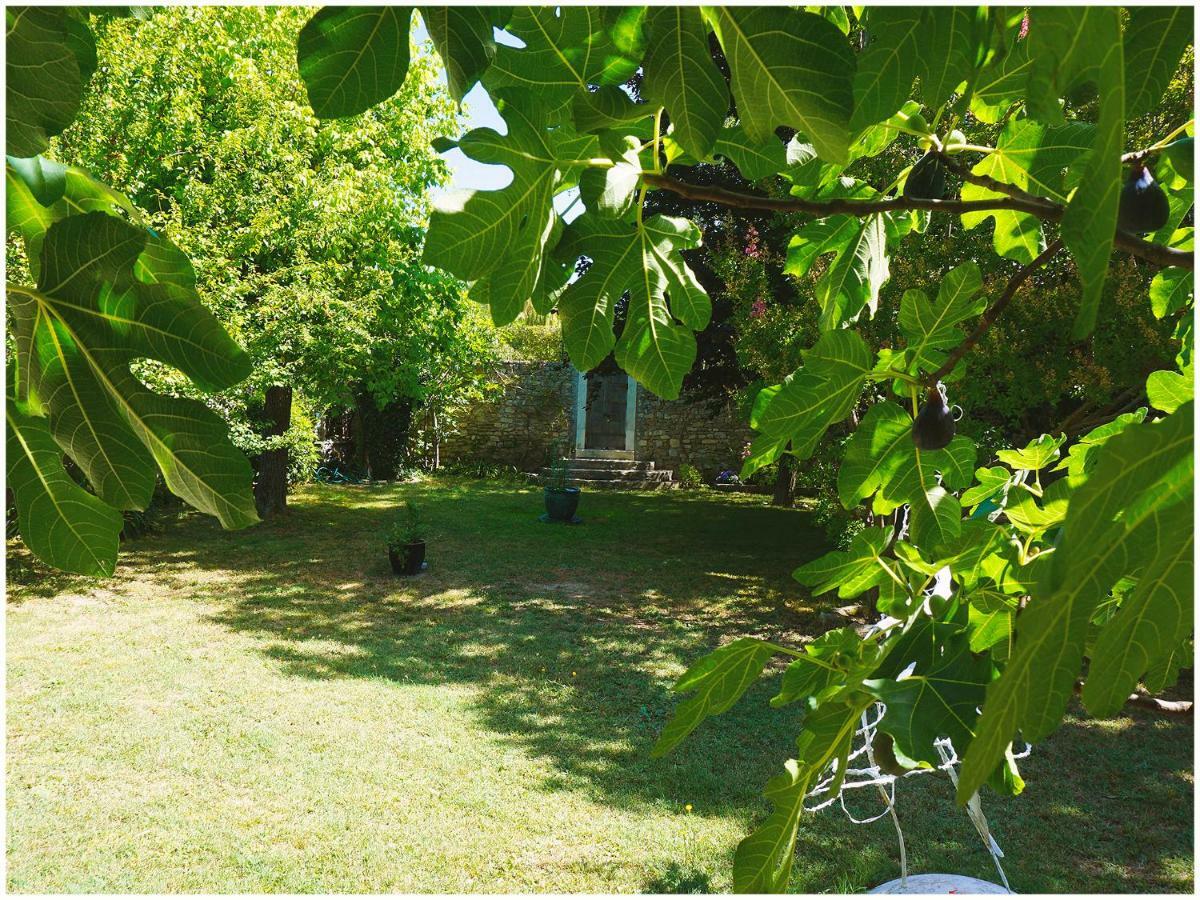Chambre D'Hote La Romaine Vaison-la-Romaine Εξωτερικό φωτογραφία